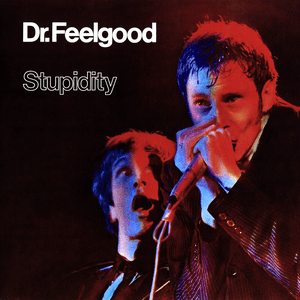 Stupidity by Dr. Feelgood