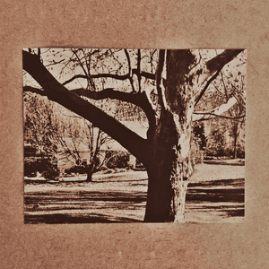 demo four by Life