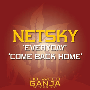 Everyday / Come Back Home by Netsky