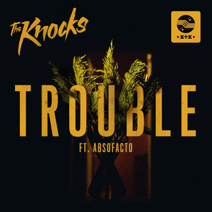TROUBLE (feat. Absofacto) by The Knocks