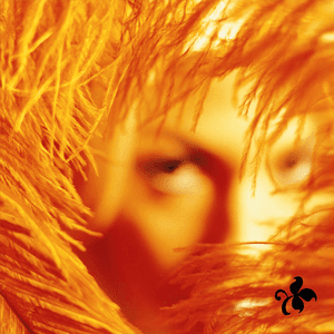 Shangri-La Dee Da by Stone Temple Pilots