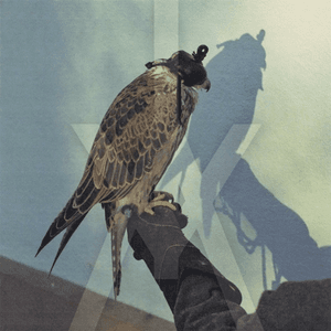 You're Nothing + 2 by Iceage