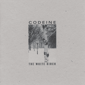 The White Birch by Codeine