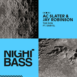The Don by AC Slater