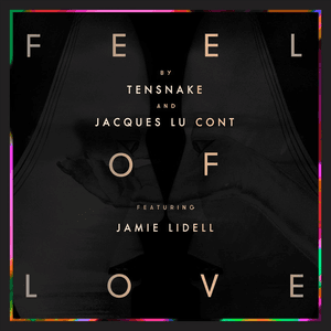 Feel Of Love by Tensnake