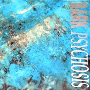 Nothing Feels by Bark Psychosis