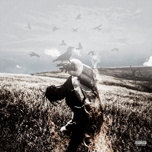 Days Before Birds by Travi$ Scott