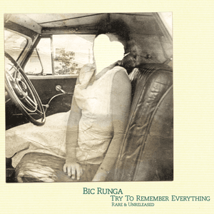 Try To Remember Everything by Bic Runga