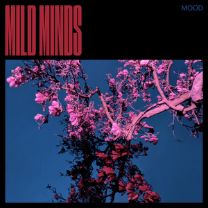 MOOD by Mild Minds