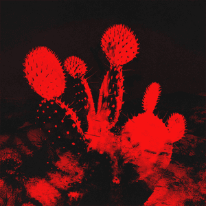 Fake Nice (feat. Kevin Kaarl) by Beach Weather