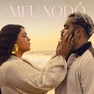 Meu Xodó by Preta Gil
