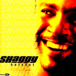 Hotshot by Shaggy