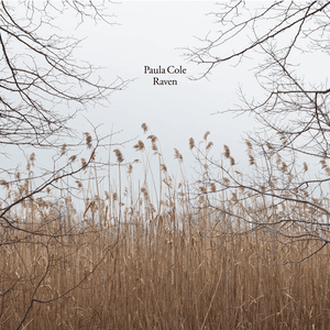Raven by Paula Cole