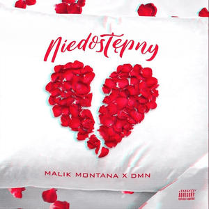 Niedostępny (prod. by Olek) (feat. DMN) by Malik Montana