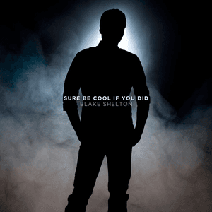 Sure Be Cool If You Did by Blake Shelton