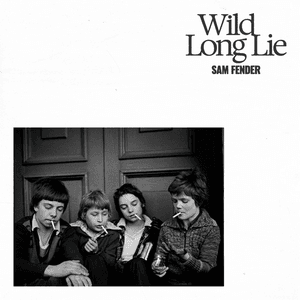 Wild Long Lie by Sam Fender