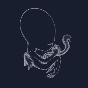Agaetis Byrjun by Sigur Rós