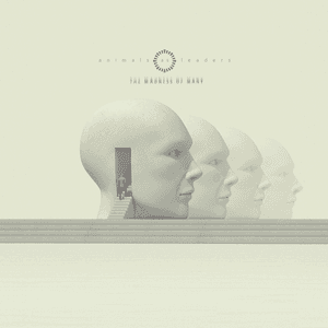 The Madness of Many by Animals as Leaders