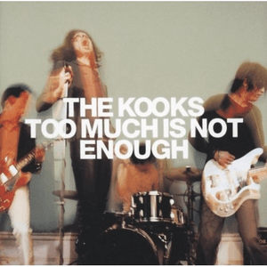 Too Much Is Not Enough by The Kooks