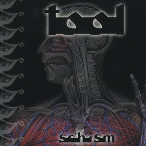 Schism by Tool
