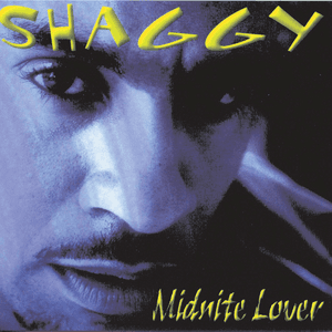 Midnite Lover by Shaggy