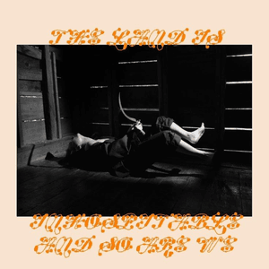 Bug Like an Angel by Mitski