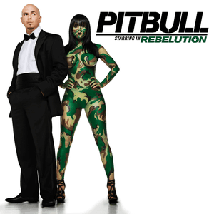 Rebelution by Pitbull