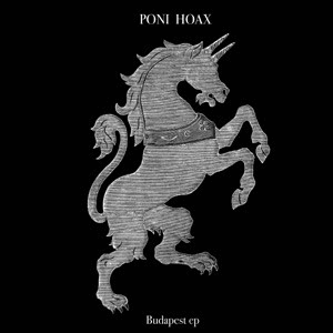 Budapest by Poni Hoax