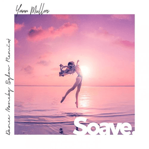 Dance Monkey (Sylow Remix) by Yann Muller