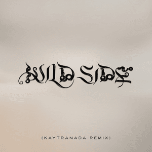 Wild Side (KAYTRANADA Remix) by Normani