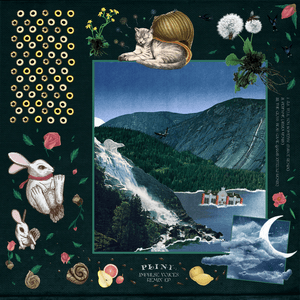 Impulse Voices (Remixes) by Plini