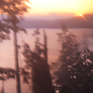 Higher by Noble Oak