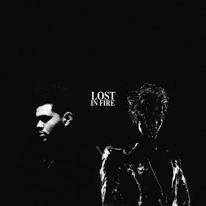 Lost In The Fire by Gesaffelstein