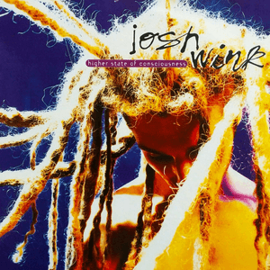 Higher State of Consciousness by Josh Wink
