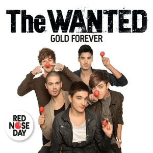 Gold Forever by The Wanted