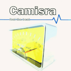 Feel the Beat by Camisra