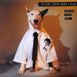 Working Class Dog by Rick Springfield