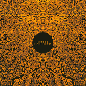 Flashlight EP by Bonobo