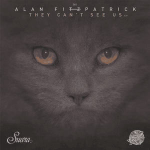 They Can't See Us EP by Alan Fitzpatrick