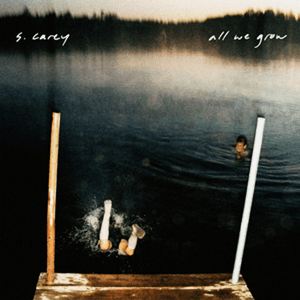 In the Dirt - Single by S. Carey