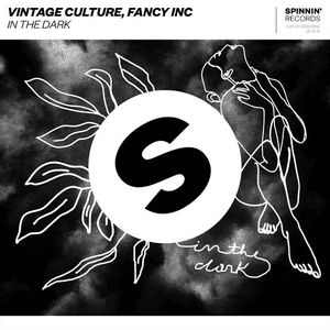In The Dark by Vintage Culture