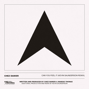 Can You Feel It (Kevin Saunderson Remix) by Chez Damier