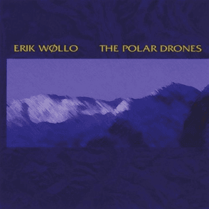 Polar Drones by Erik Wøllo