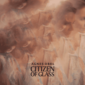 Citizen of Glass by Agnes Obel