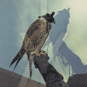 You're Nothing by Iceage