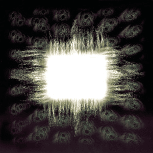 Anima by Tool