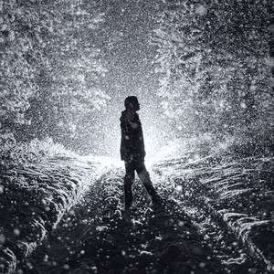 Willfully Blind by Max McNown