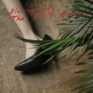 Plowing Into the Field of Love by Iceage