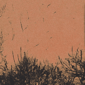demo three by Life