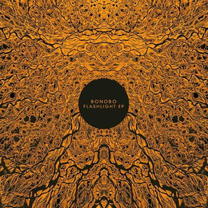 Flashlight by Bonobo